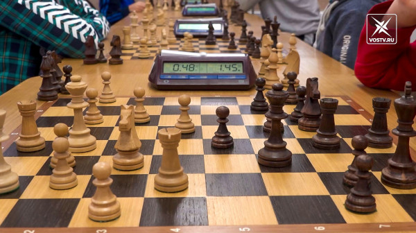 Первенство в формате блица по шахматам прошло в Воскресенске