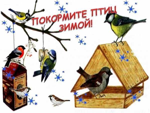 Конкурс на лучший скворечник или кормушку для птиц