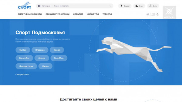 «Спорт Подмосковья» собрал всю информацию о секциях на одном сайте