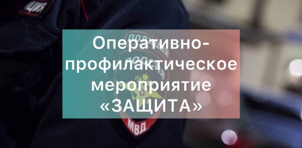 На территории городского округа Воскресенск в период с 01 по 10 июня проводится оперативно-профилактическое мероприятие "Защита"