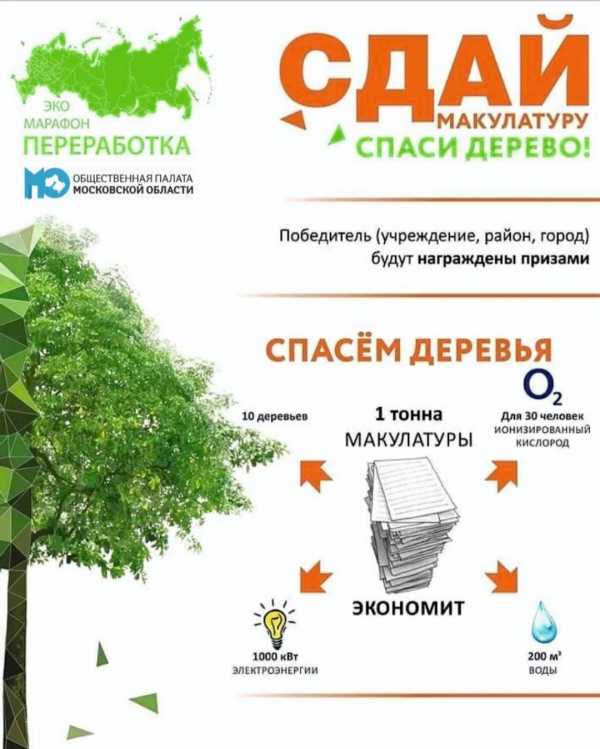 Сдай макулатуру, спаси дерево. Эко-марафон в округе
