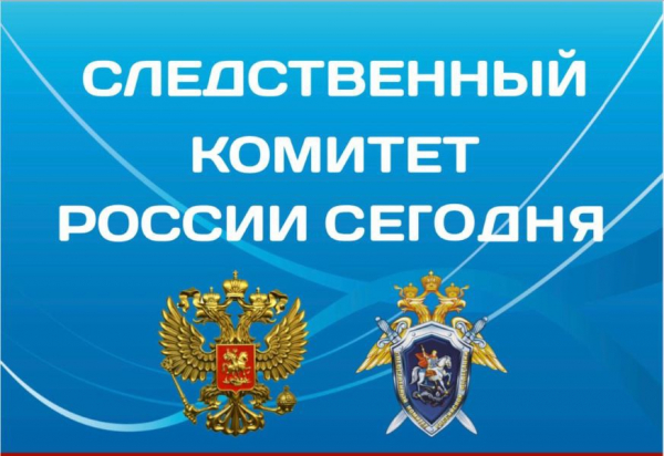 Жителей и гостей г.о. Воскресенск приглашают на фотовыставку «Следственный комитет России сегодня»